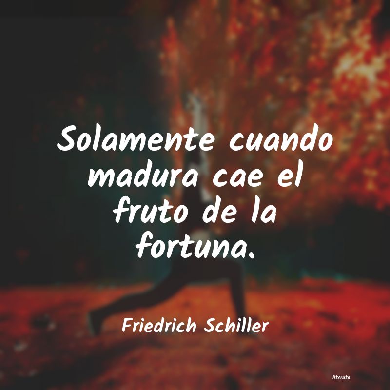 Frases de Friedrich Schiller