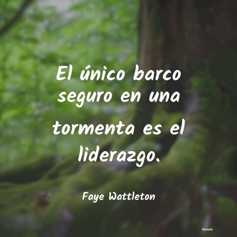 frases de Faye Wattleton