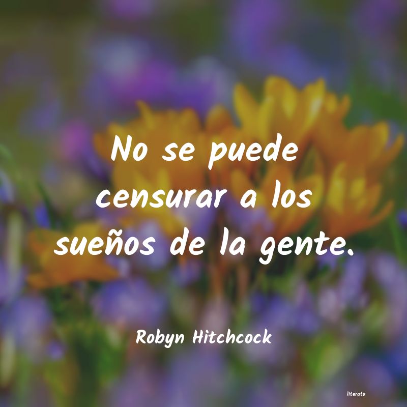 Frases de Robyn Hitchcock