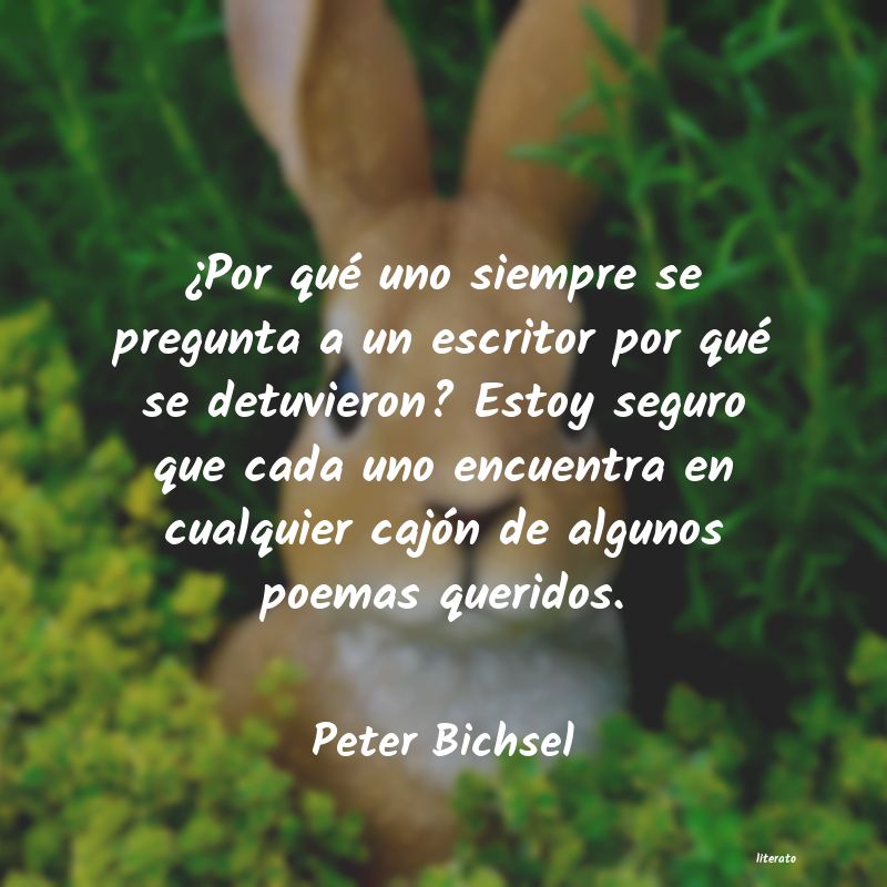 Frases de Peter Bichsel