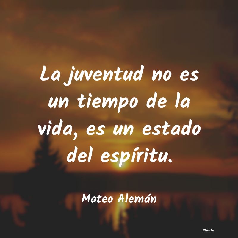 Frases de mateo aleman - literato