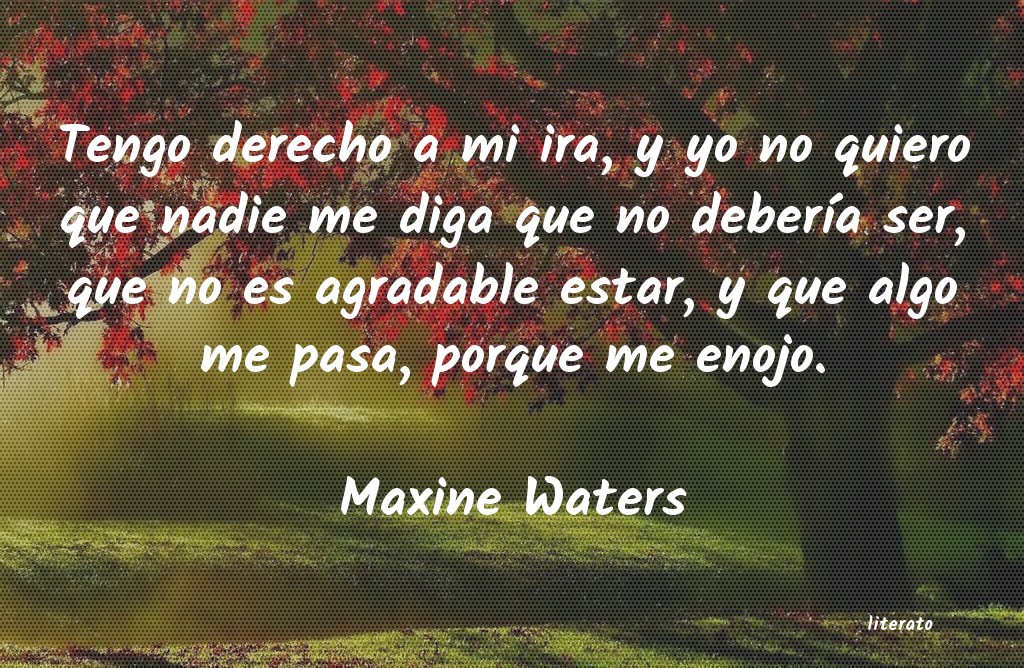Frases de Maxine Waters