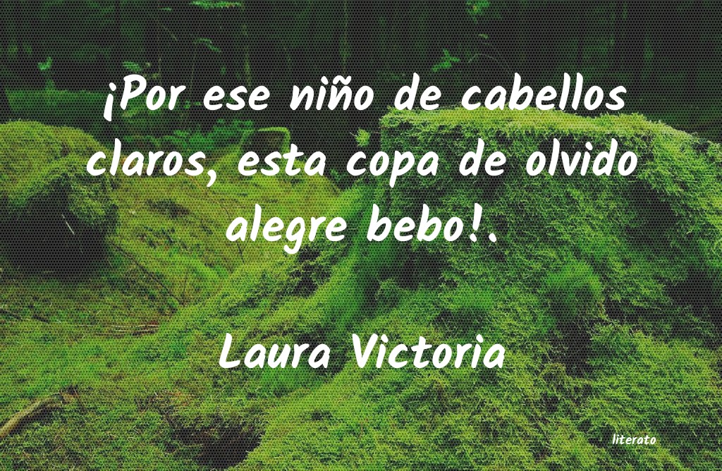 Frases de Laura Victoria