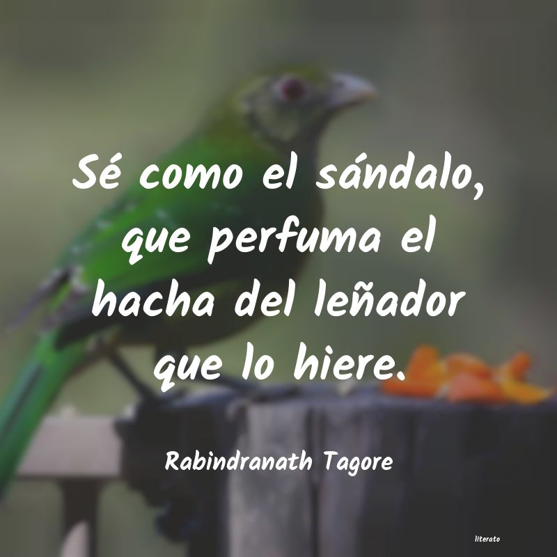 Frases de Rabindranath Tagore