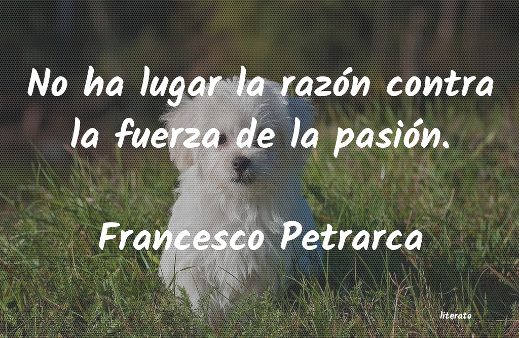 frases de Francesco Petrarca
