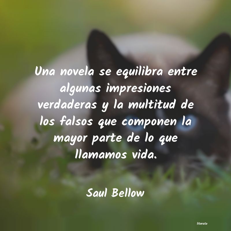 Frases de Saul Bellow