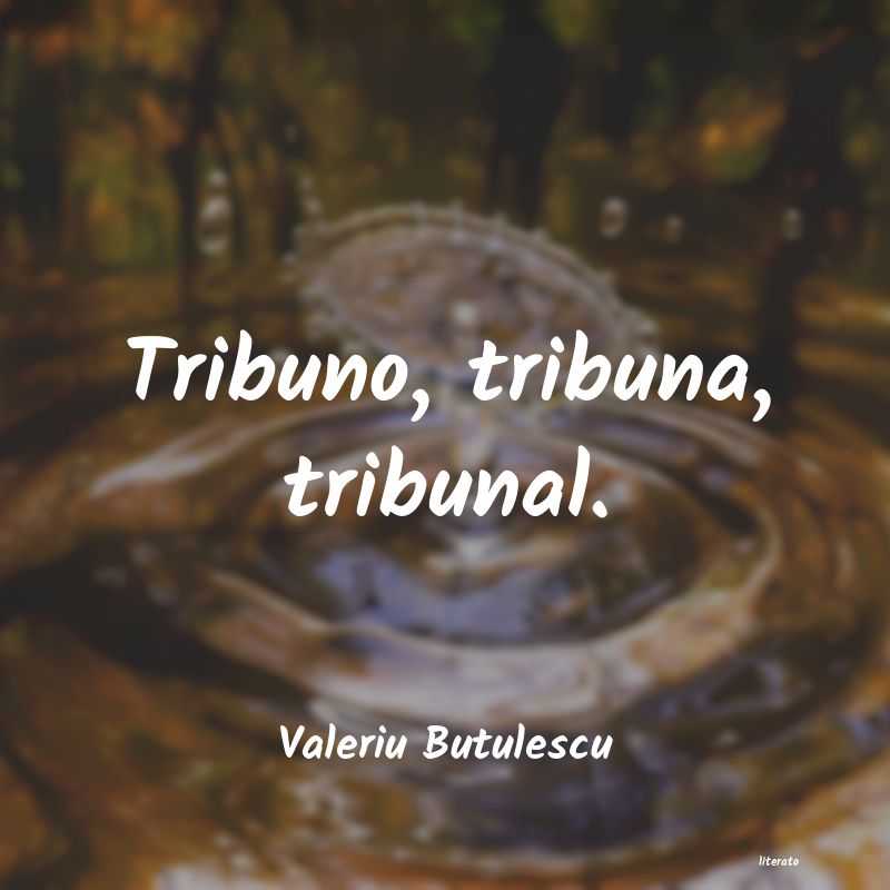 Frases de Valeriu Butulescu