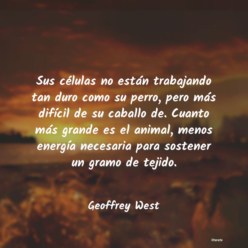 Frases de Geoffrey West