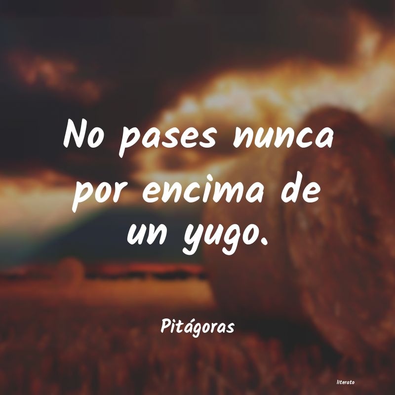 Frases de Pitágoras