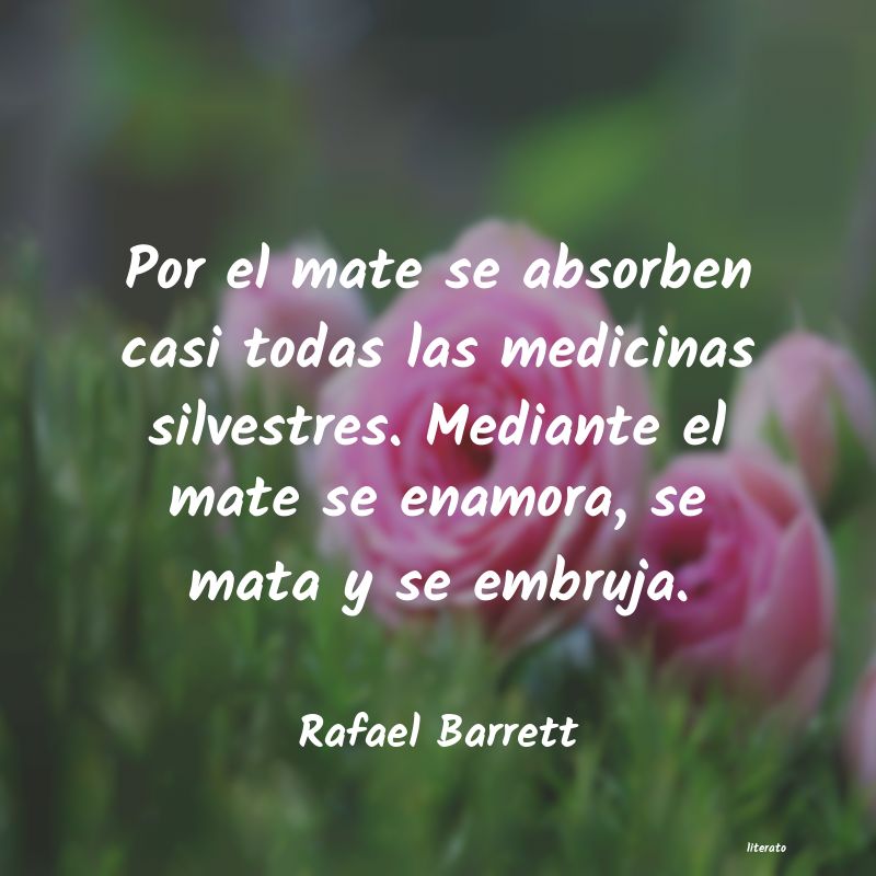 frases de Rafael Barrett