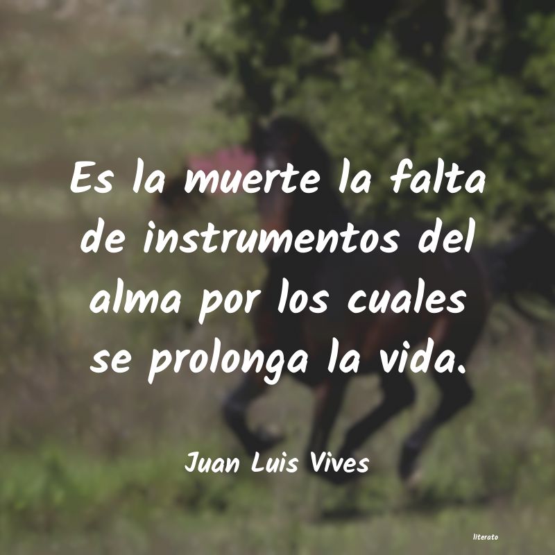 frases de Juan Luis Vives