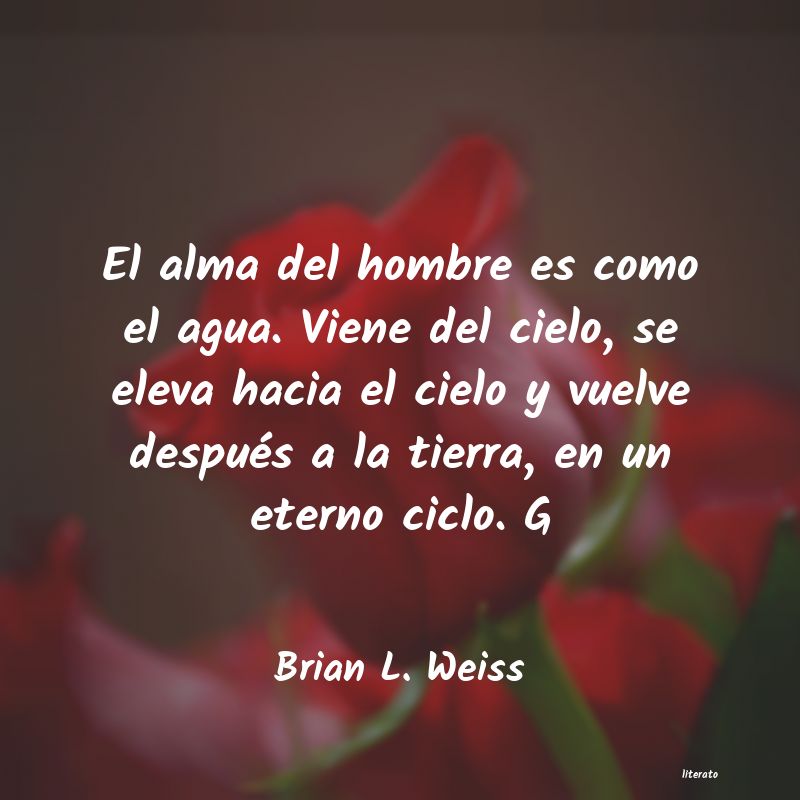 Frases de Brian L. Weiss