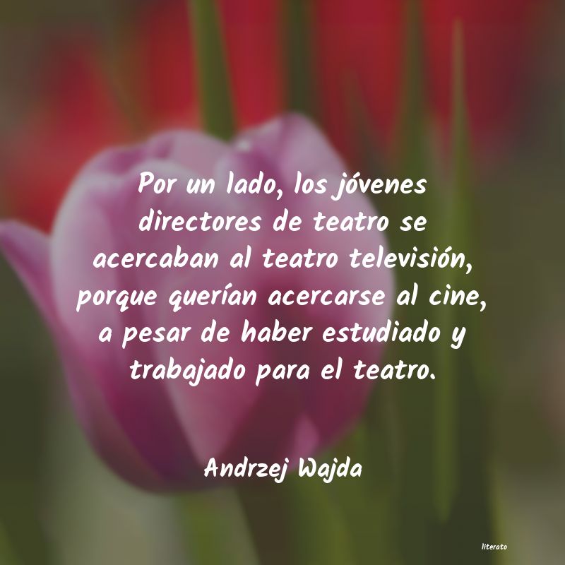 Frases de Andrzej Wajda