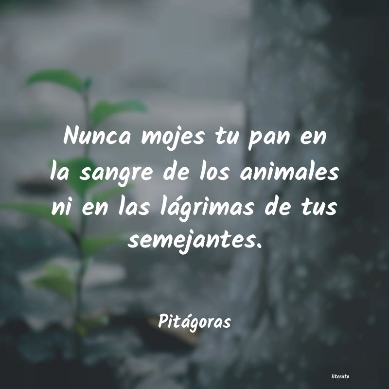 frases de Pitágoras
