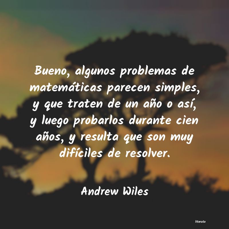 Frases de Andrew Wiles