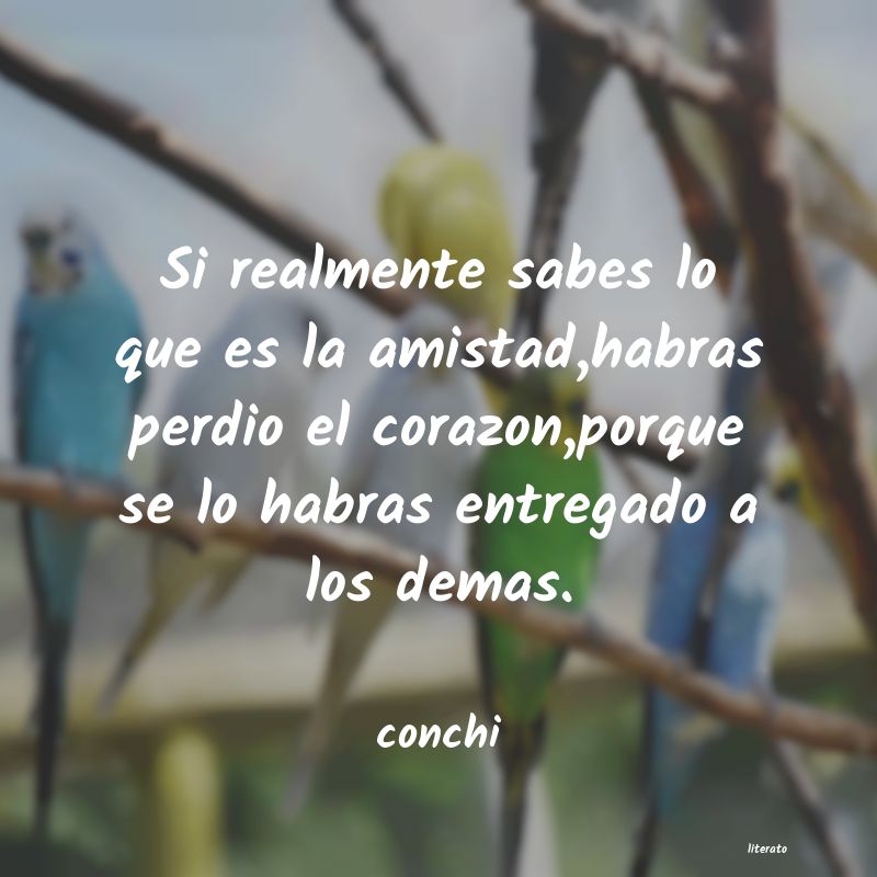 Frases de conchi