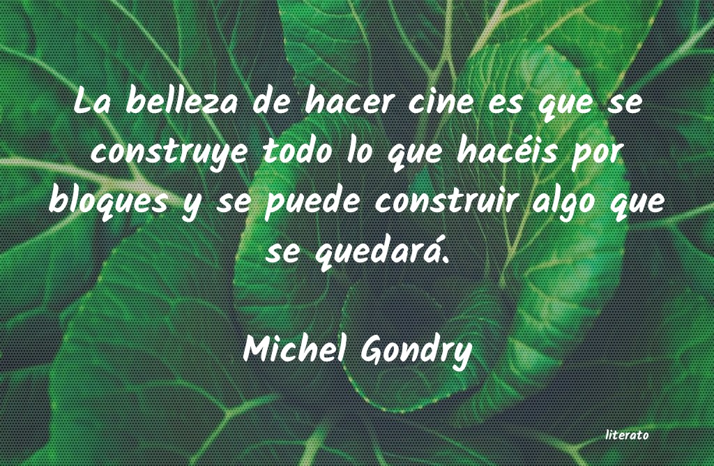 frases de Michel Gondry