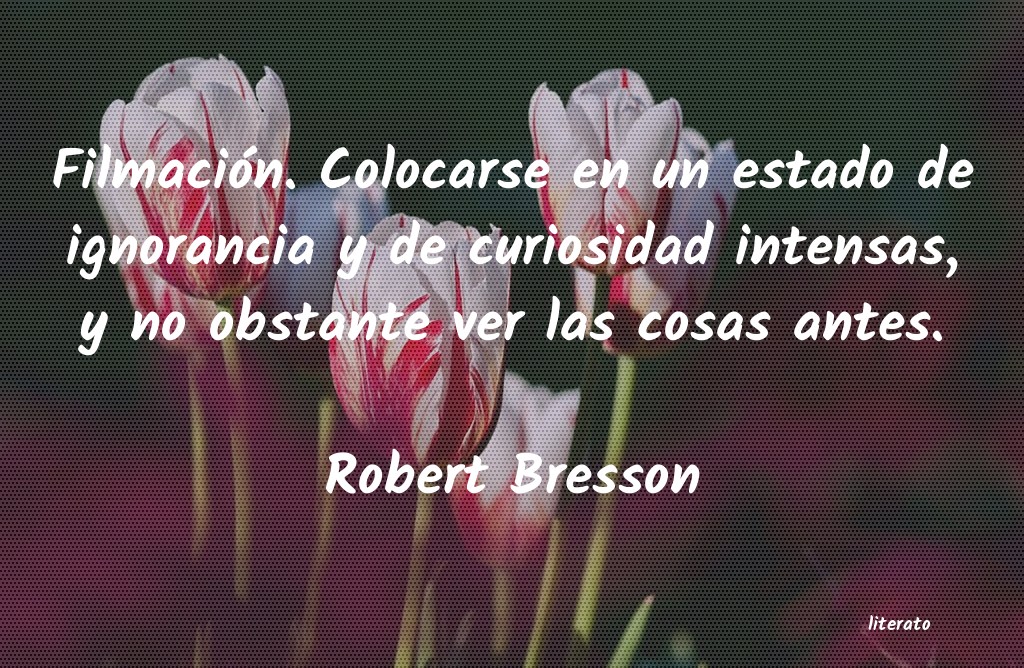 frases de Robert Bresson