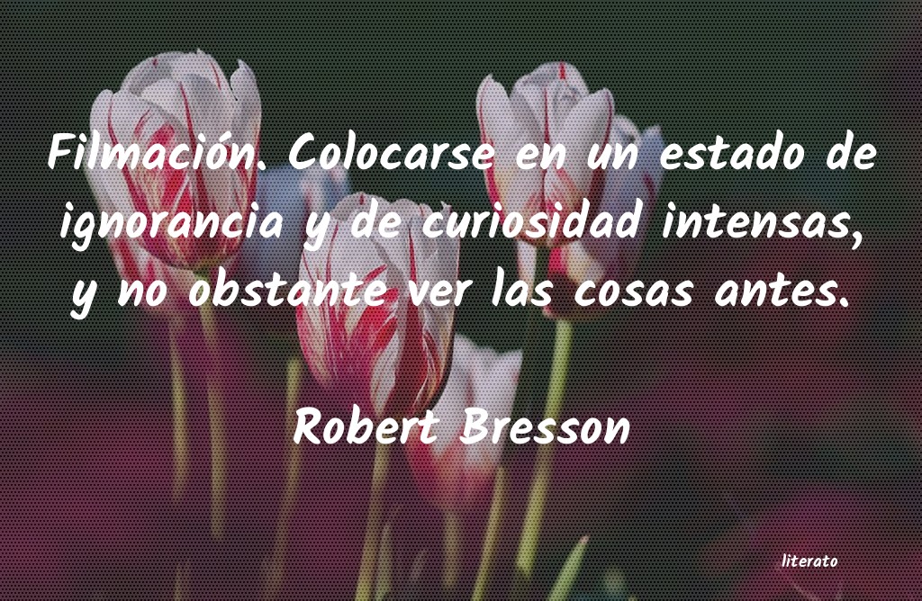 Frases de Robert Bresson