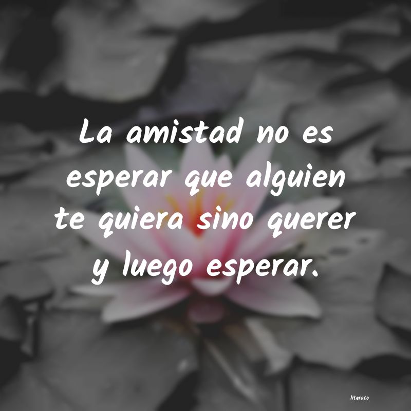 frases