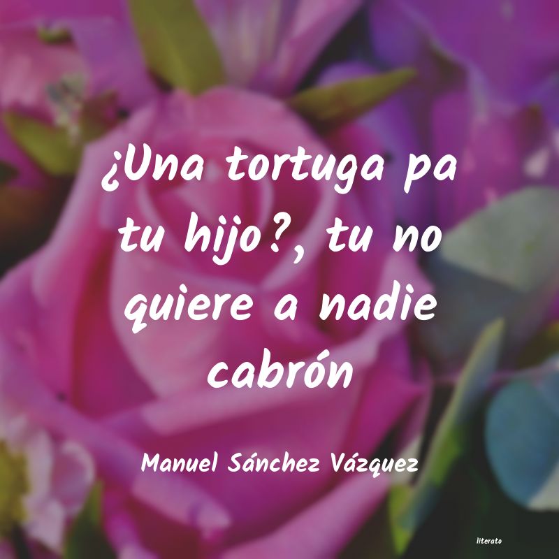 Frases de Manuel Sánchez Vázquez