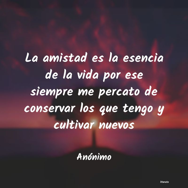 frases