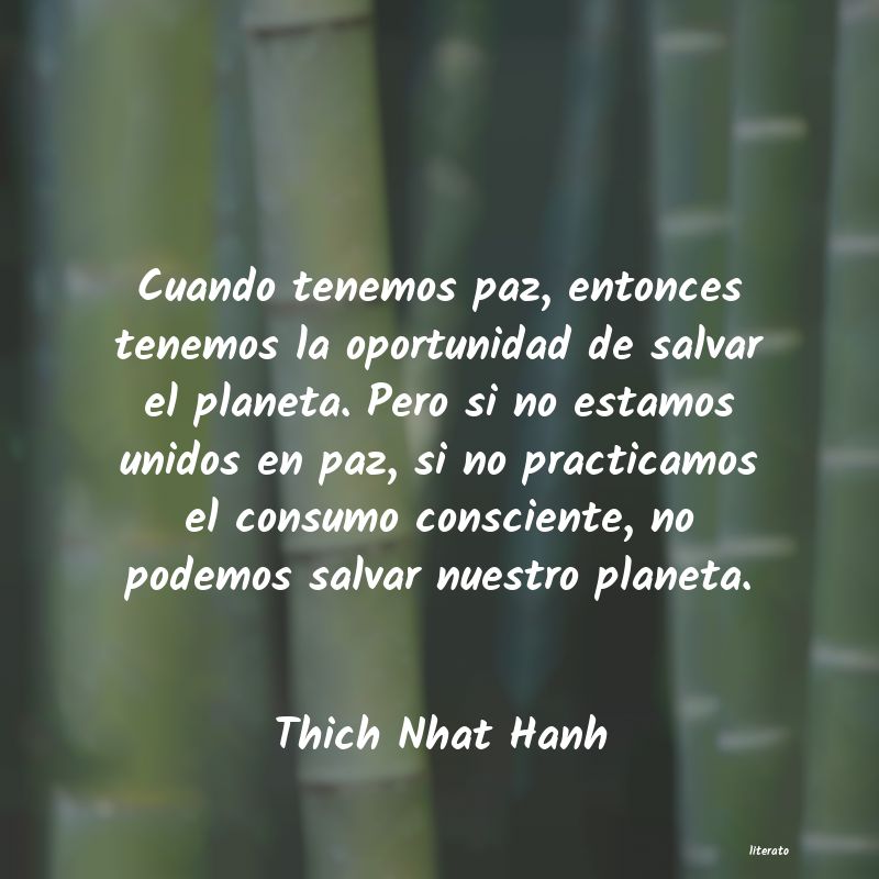 Frases de Thich Nhat Hanh