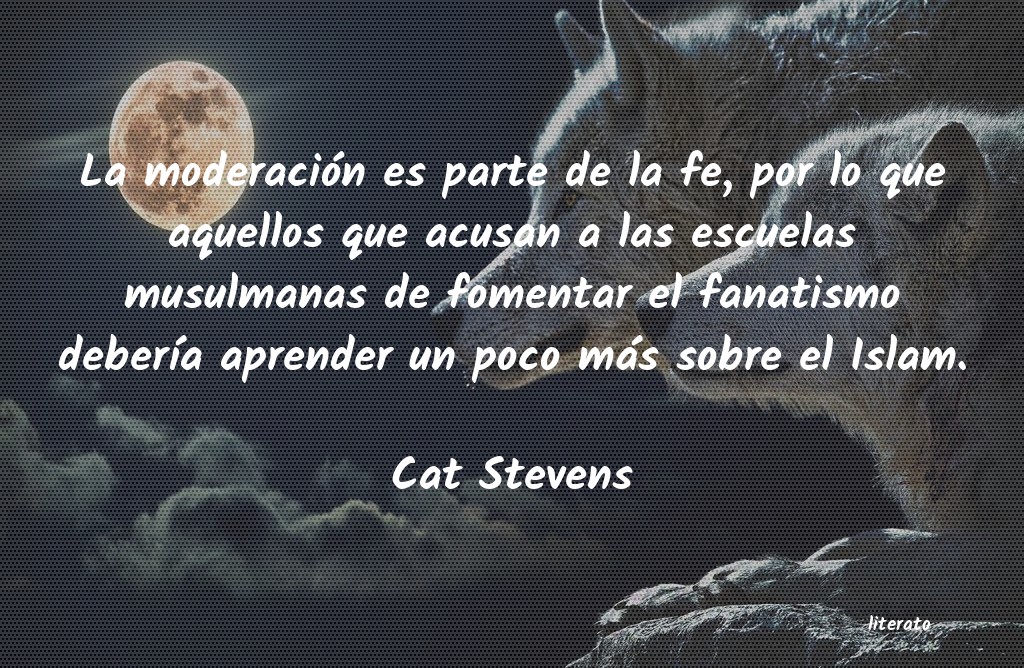 frases de Cat Stevens