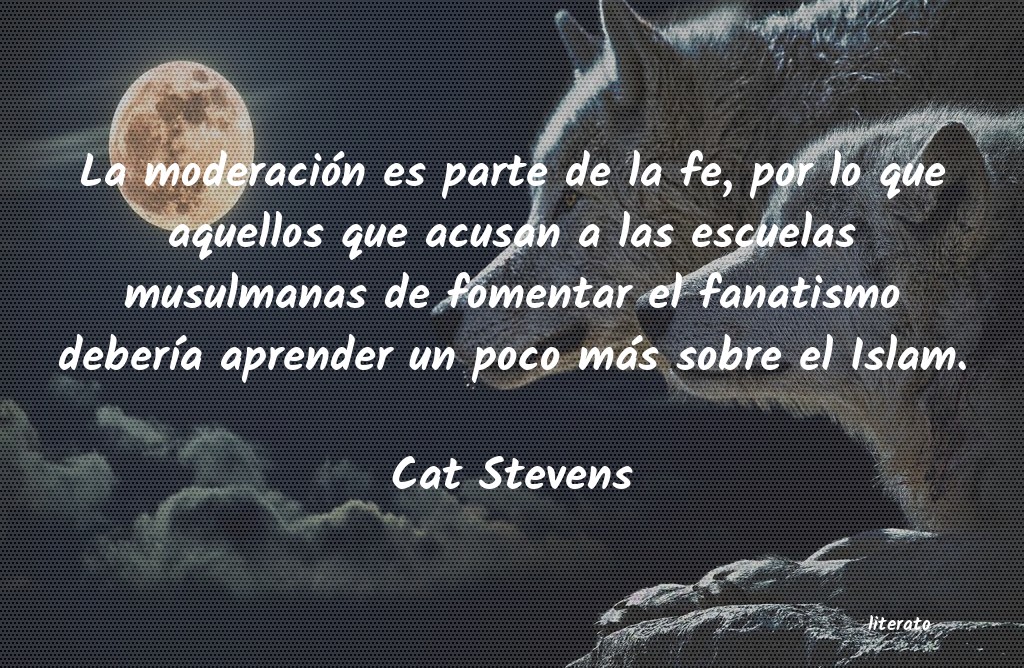 Frases de Cat Stevens