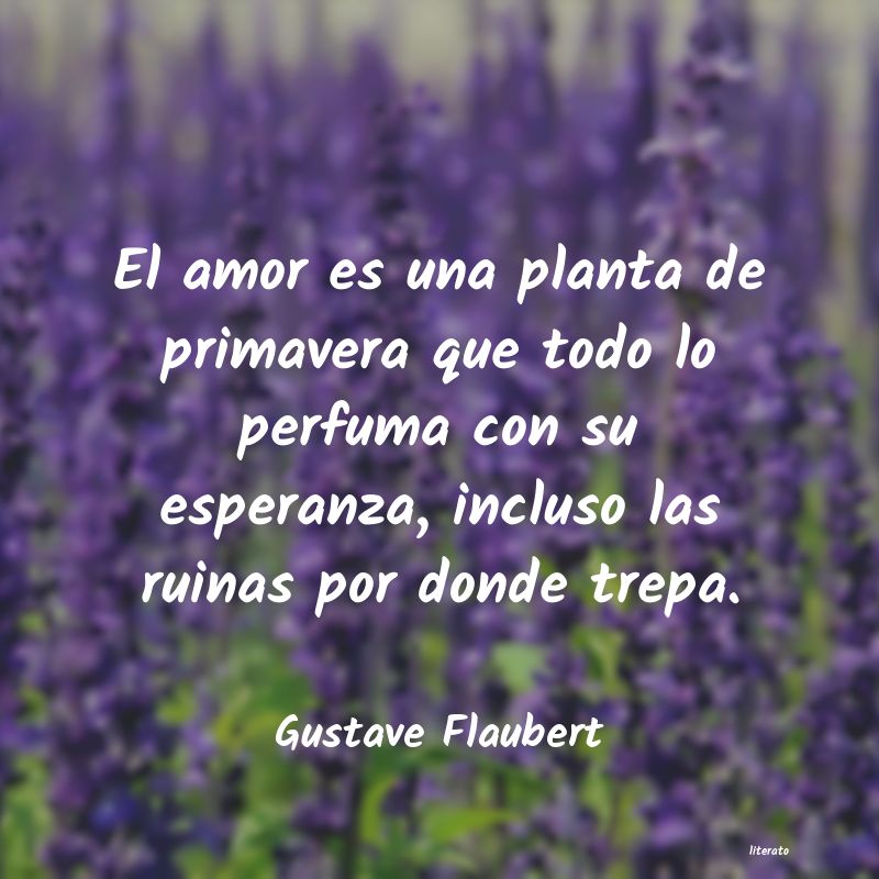 frases de Gustave Flaubert