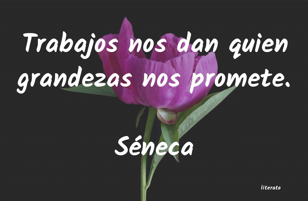 frases de Séneca