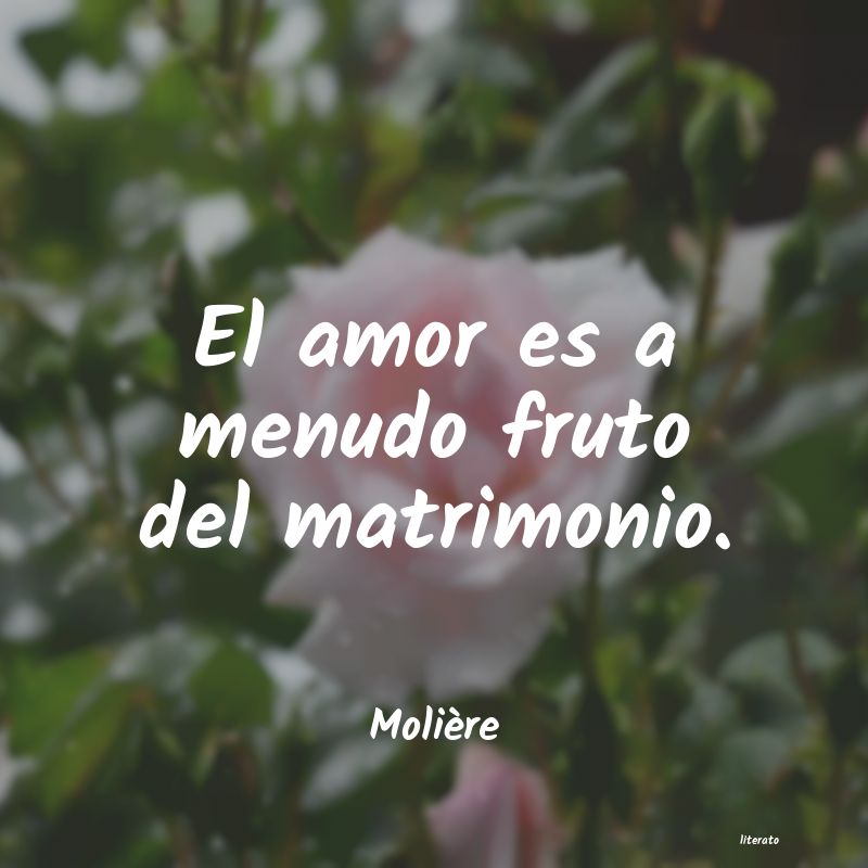 frases de Molière