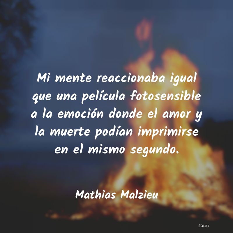 Frases de Mathias Malzieu