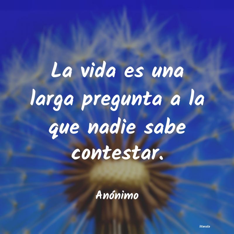 frases