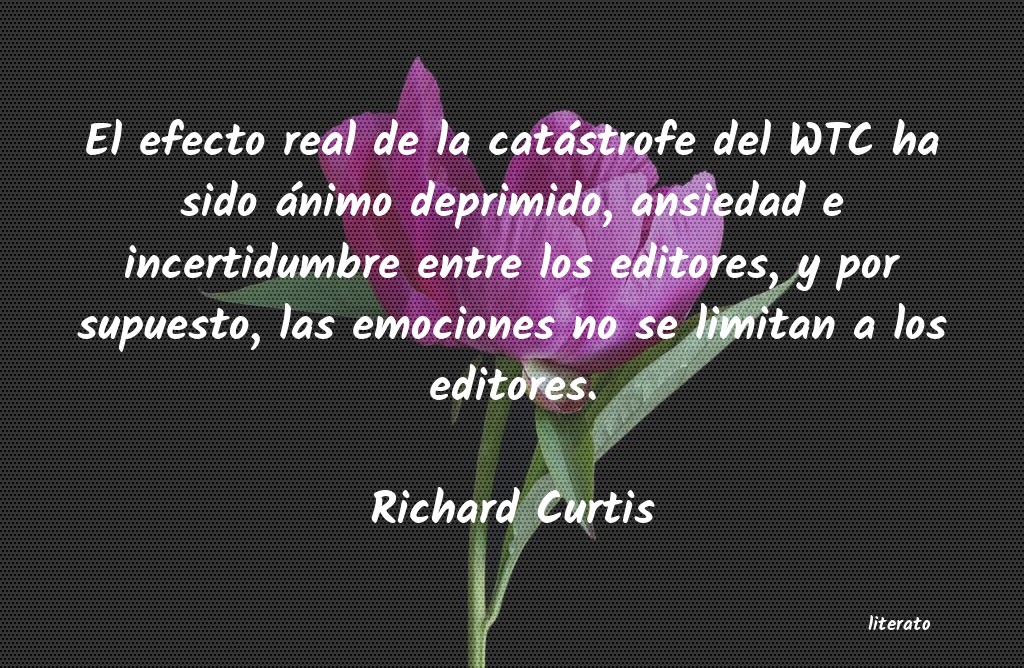 Frases de Richard Curtis