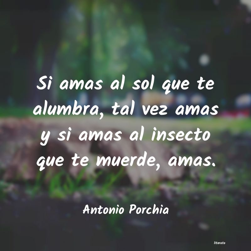 Frases de Antonio Porchia