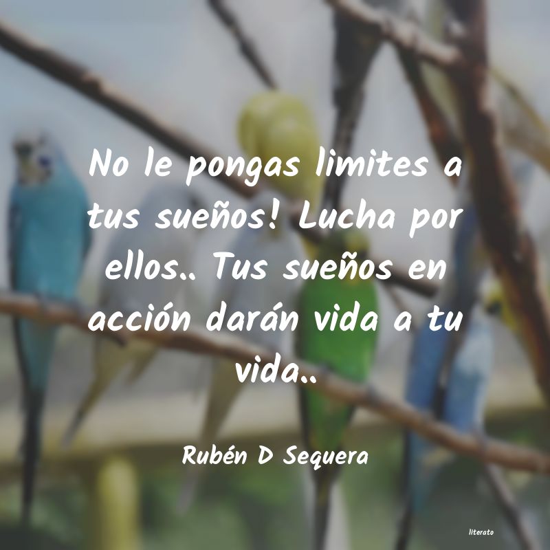frases de Rubén D Sequera