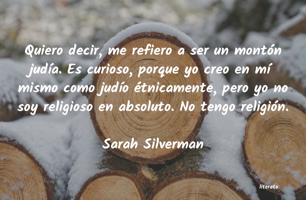 Frases de Sarah Silverman