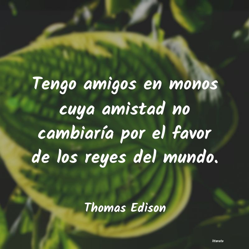 Frases de Thomas Edison