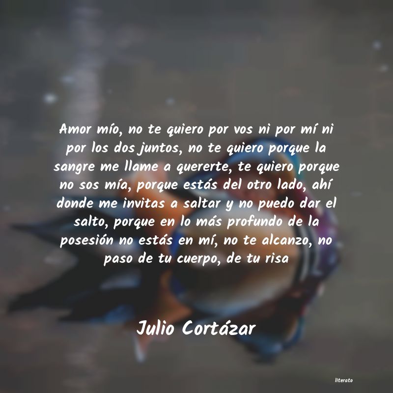 frases de Julio Cortázar