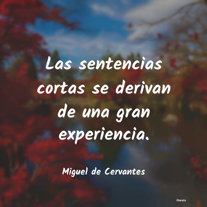 Frases de Miguel de Cervantes