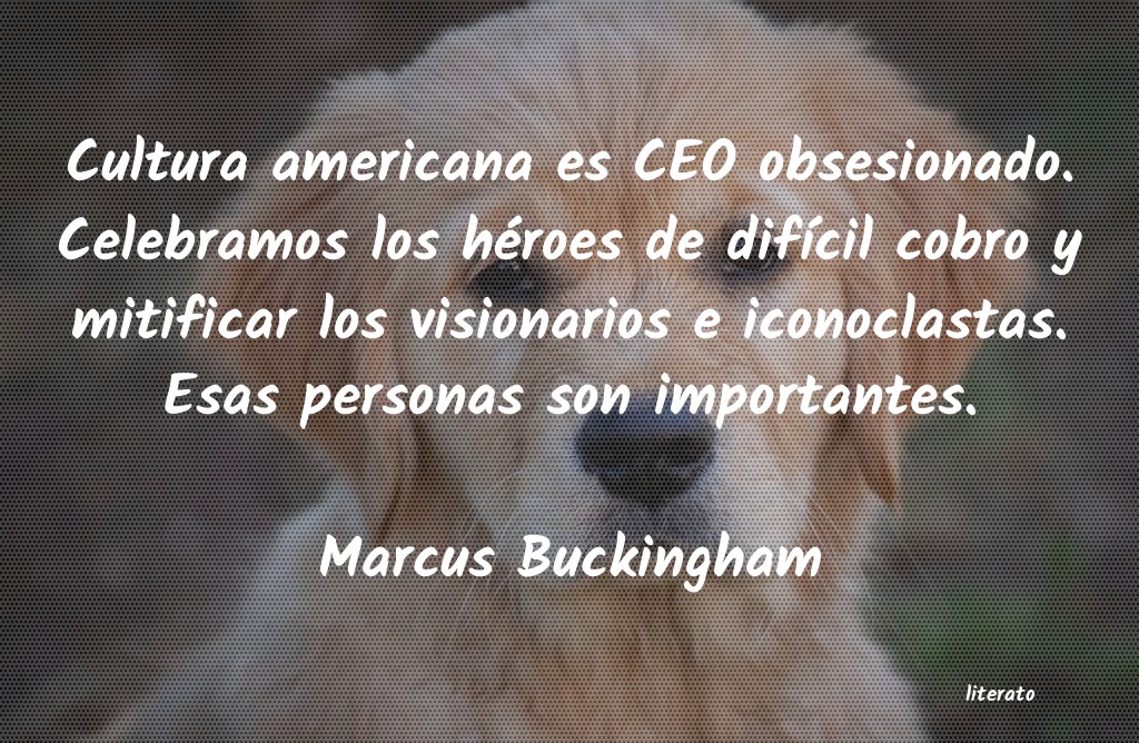 Frases de Marcus Buckingham