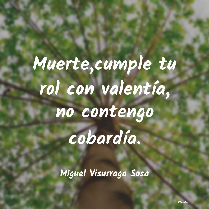 frases de Miguel Visurraga Sosa