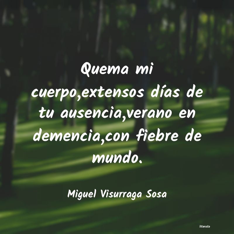 Frases de Miguel Visurraga Sosa