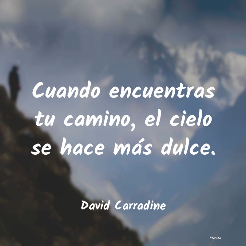 frases de David Carradine