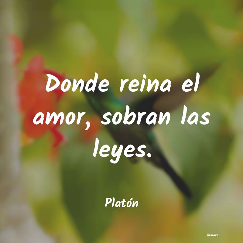 los pensamientos de platon