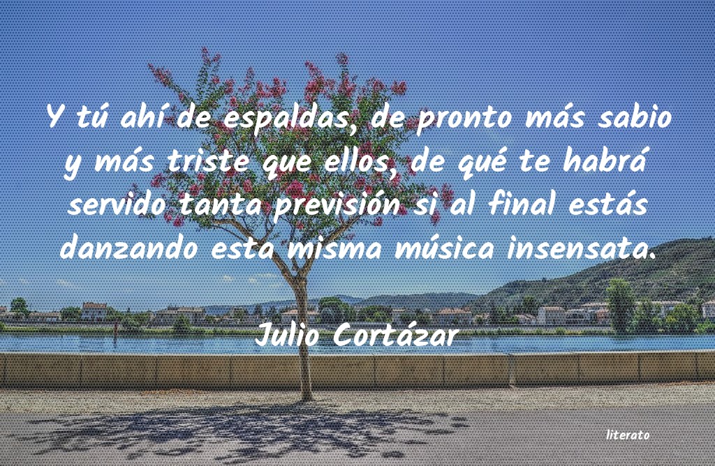 Frases de Julio Cortázar