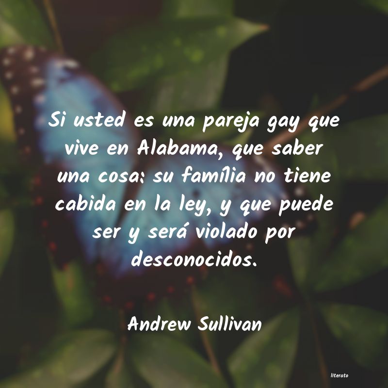 Frases de Andrew Sullivan