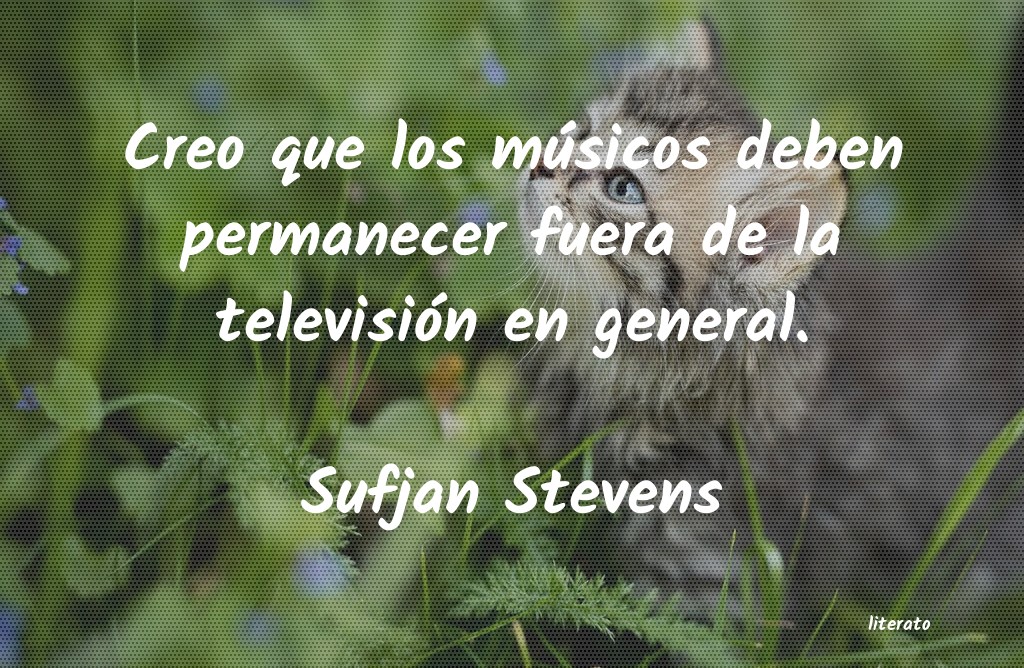 Frases de Sufjan Stevens