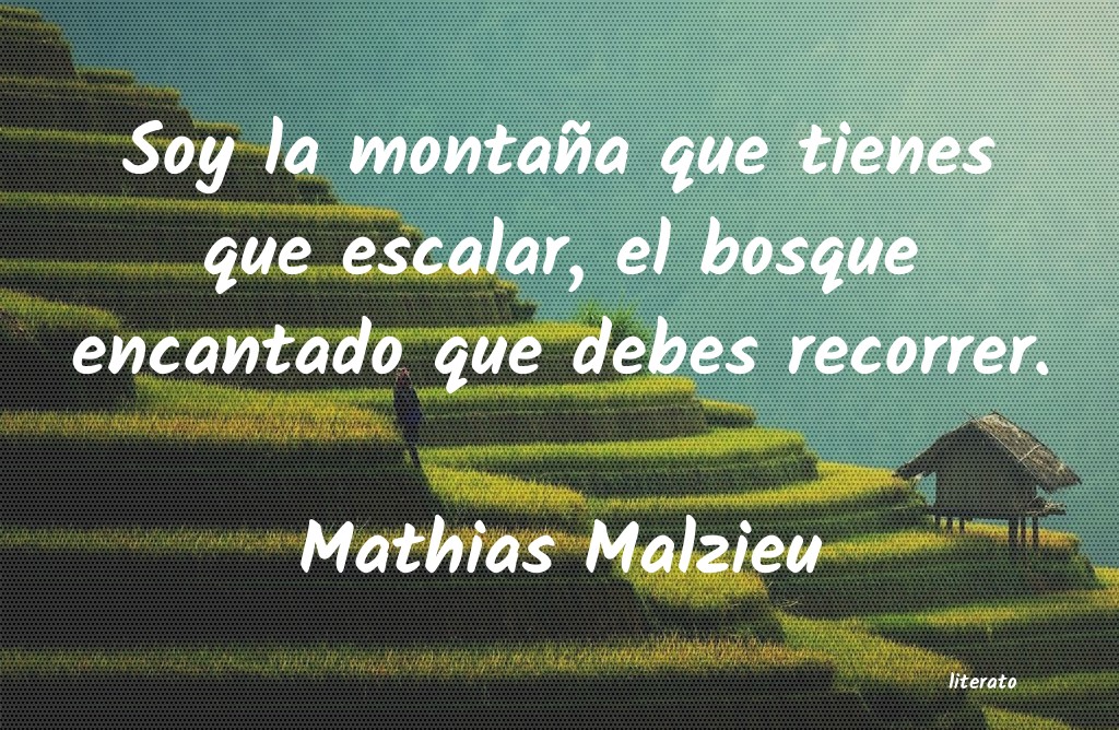 Frases de Mathias Malzieu